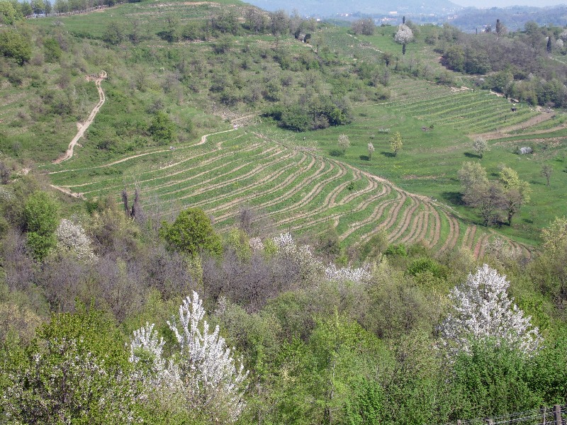 Parco di Montevecchia e della valle del Curone LC